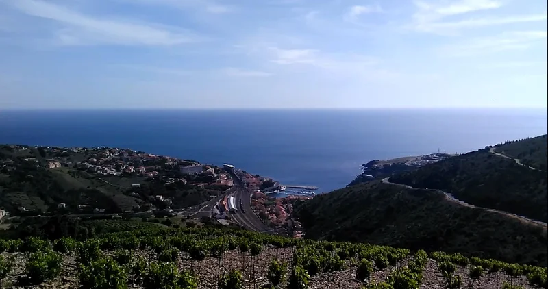 Randonnée Le Chemin de la Frigoulette — Cerbère