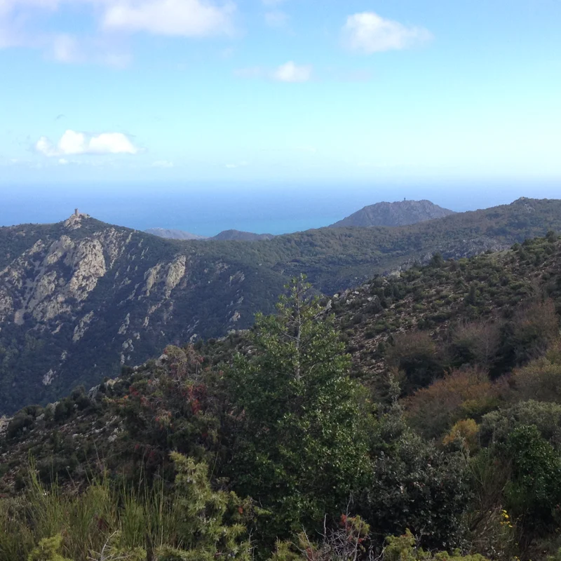 Randonnée Tour de la Massane- Pic des Quatre Termes (par le GR10) — Argelès-sur-Mer