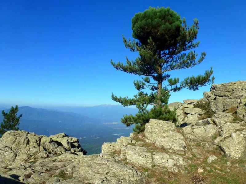 Randonnée Col de l'Ouillat - Pic Néoulous — L'Albère