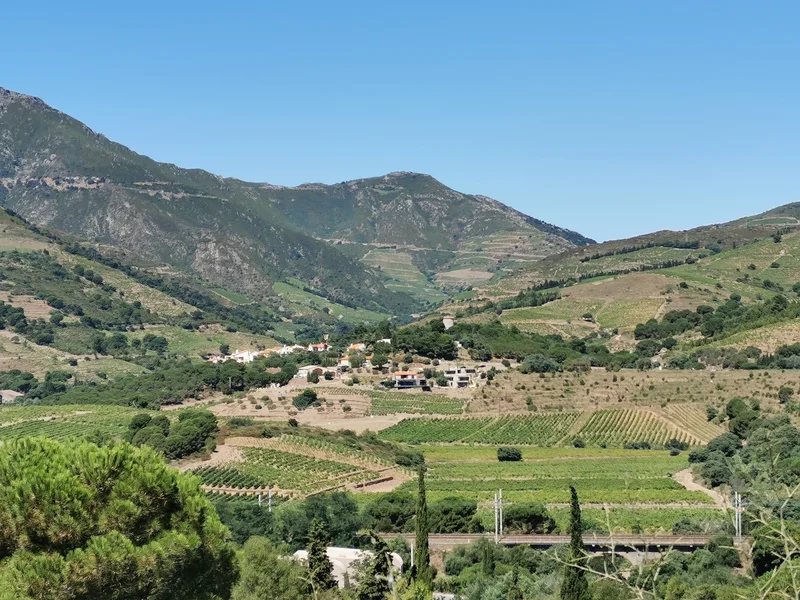 Randonnée Randonnée dans les vignes — Port-Vendres