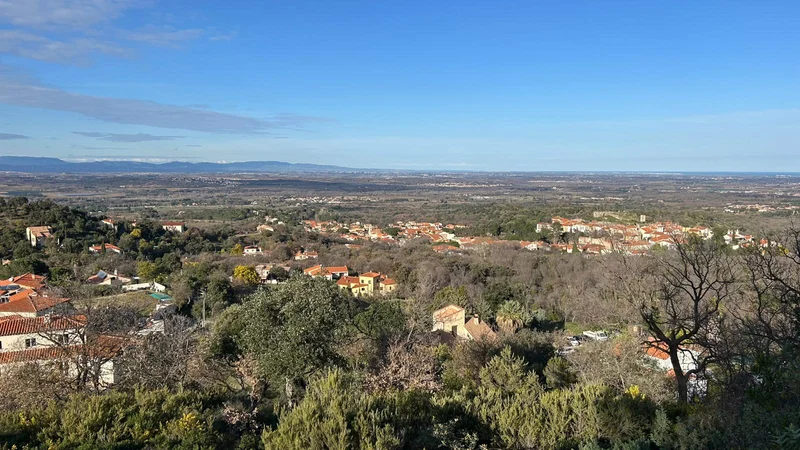 Randonnée Sentier botanique de Montesquieu-des-Albères — Montesquieu-des-Albères