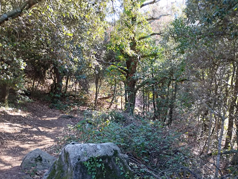 Randonnée Boucle du Prieuré Santa Maria del Vilar par le Mas del Pou — Villelongue-dels-Monts