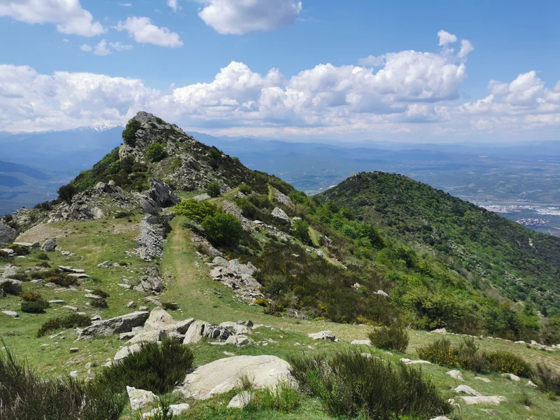 Randonnée Col de l'Ouillat - Pic Sant Cristau — L'Albère