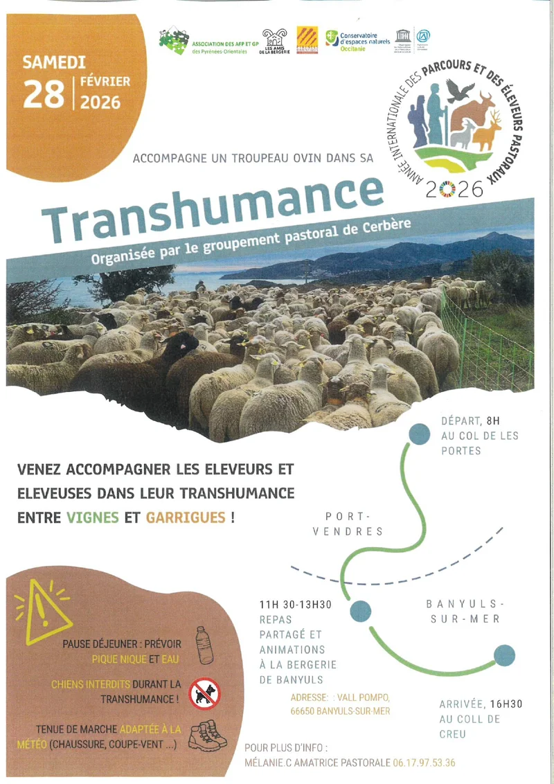Randonnée Transhumance 2026 (Année Internationale des parcours et des éleveurs pastouraux) — Port-Vendres