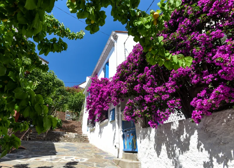 Randonnée Dans les pas d'Aristide — Banyuls-sur-Mer