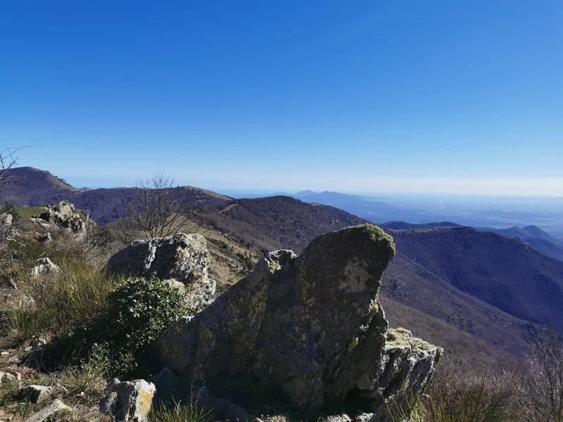 Randonnée De Laroque au Pic Néoulous et au Col de l'Ouillat — Laroque-des-Albères