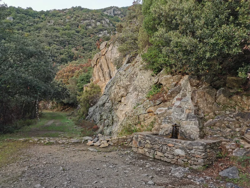 Randonnée Les deux fontaines — Laroque-des-Albères
