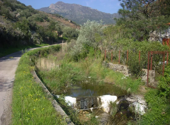 Randonnée Sentier des Perdreaux — Cerbère