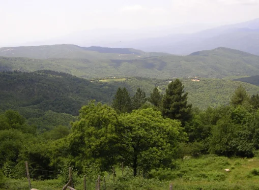 Randonnée Col de l'Ouillat — Laroque-des-Albères