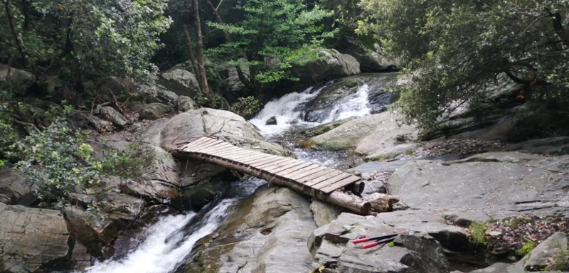 Randonnée Le Casot d'en Lic — Laroque-des-Albères