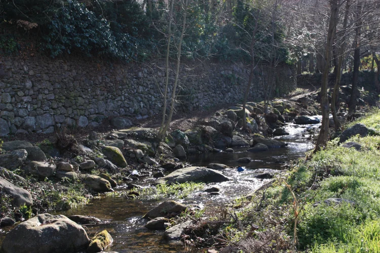 Randonnée A la découverte de la faune et de la flore — Laroque-des-Albères