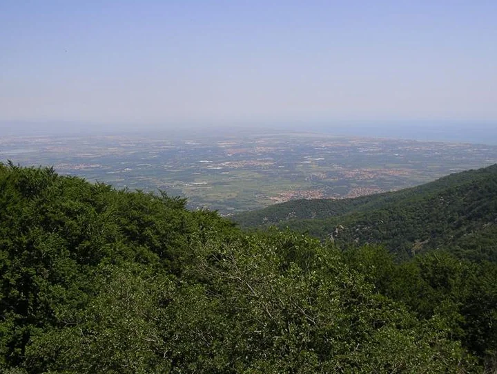 Randonnée Un sentier pour tous au Col de l'Ouillat — L'Albère