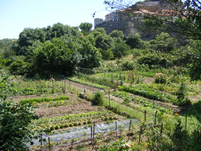 Randonnée Découverte du vieux village de Laroque et de ses environs — Laroque-des-Albères