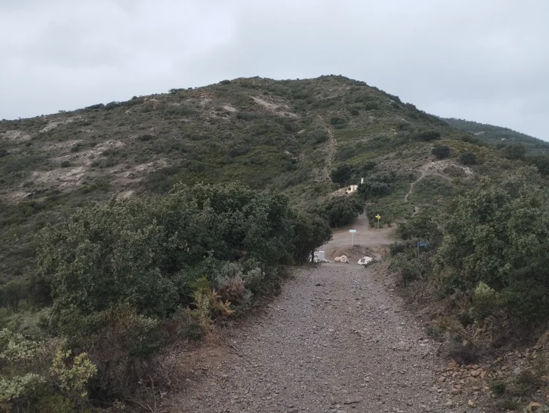 Randonnée Col de Banyuls-Col de Rumpissar — Banyuls-sur-Mer