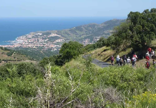 Randonnée Du Château de Valmy à Banyuls par le Col des Gascons — Argelès-sur-Mer