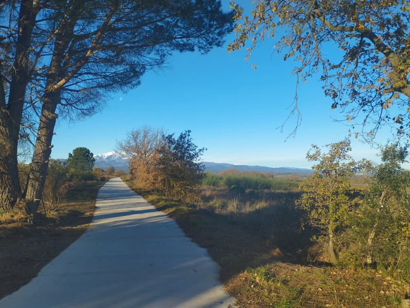Vélo de route Mairie de Montesquieu-des-Albères-EV8 — Montesquieu-des-Albères