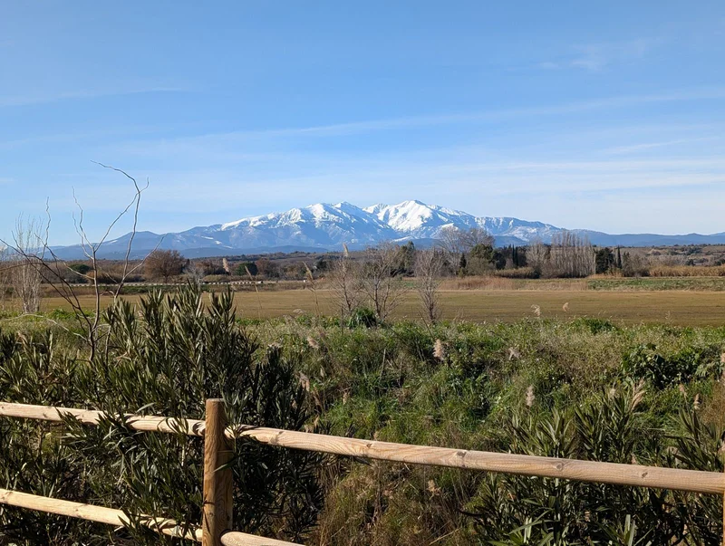 Vélo de route Voie verte "De Bages au lac de Villeneuve-de-la-Raho" — Bages