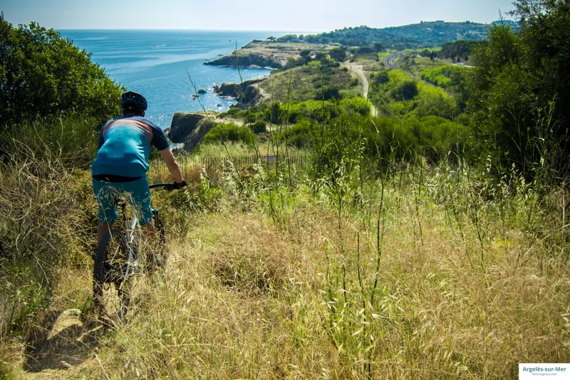 Vélo de route Entre plaine, mer et montagne — Argelès-sur-Mer