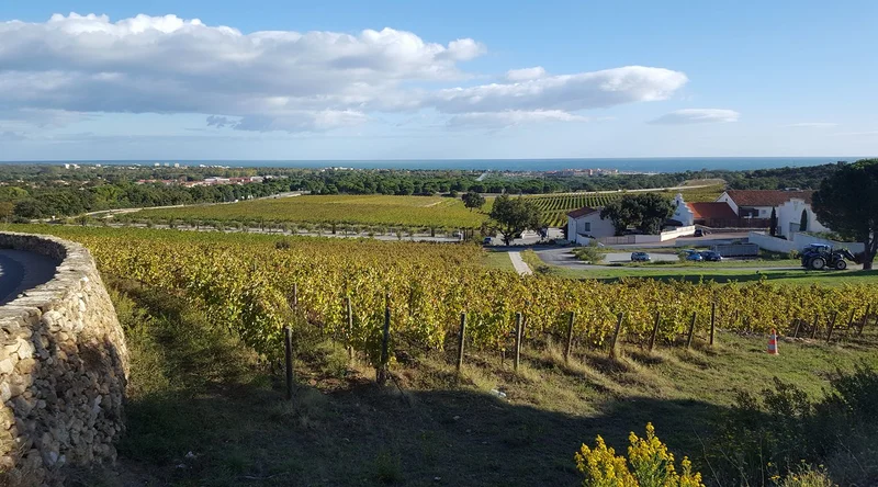 Vélo de route Balade à vélo autour d'Argelès-sur-Mer — Argelès-sur-Mer