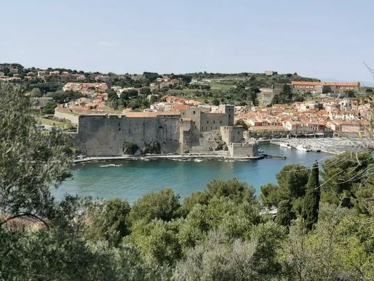 Trail Trail hauts des forts (version courte) — Collioure