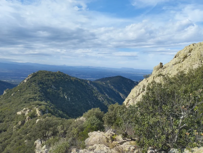Trail Trail du château d'Ultrera 2024 — Sorède