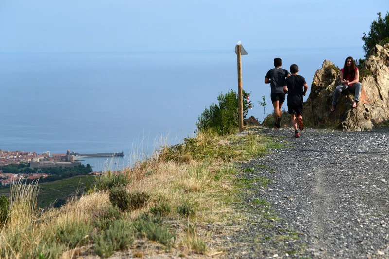 Trail Trail des Vendanges — Collioure