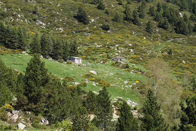 Randonnée De Leca à la Devesa de Vallbona — Corsavy