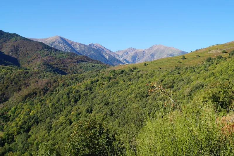 Randonnée Au fil du chemin rural, depuis Saint-Marsal — Can Gelis