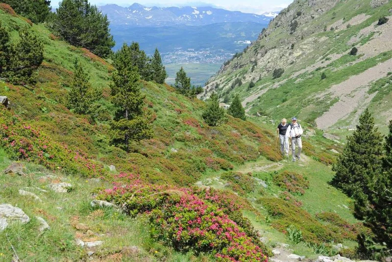 Randonnée Réserve Naturelle de la Vallée d'Eyne (PR17) — Eyne