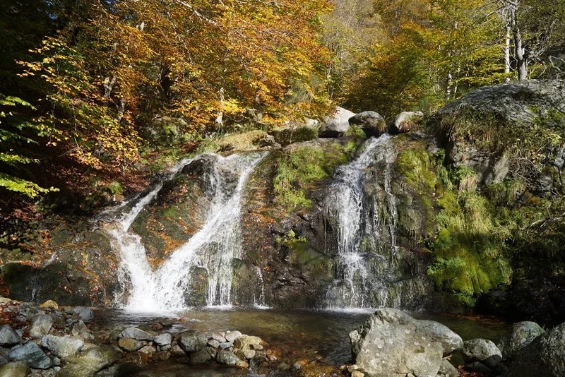 Randonnée Cal Cabús et la Parcigola — Prats-de-Mollo-la-Preste