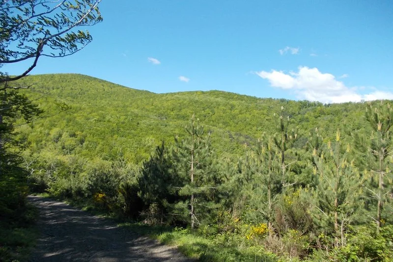Randonnée Aux portes de Boucheville — Vira