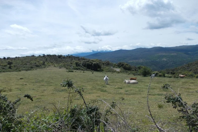 Randonnée Sentier des Cabanes — Prats-de-Sournia