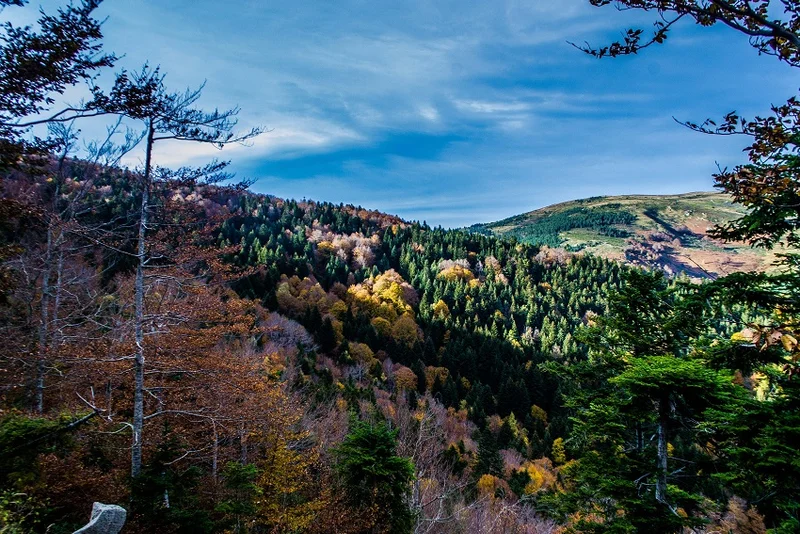 Randonnée Sentier découverte des 5 sens — Mosset