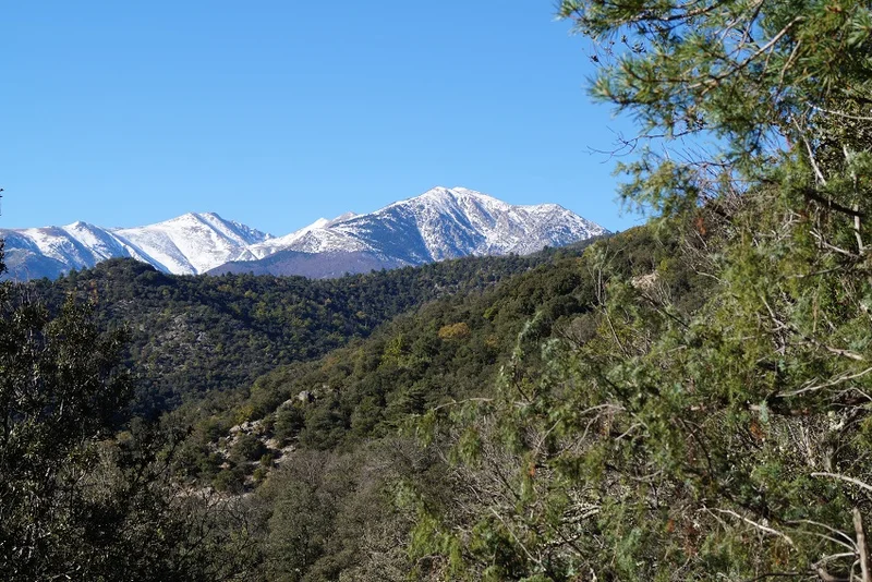 VTT El Molinot — Arles-sur-Tech
