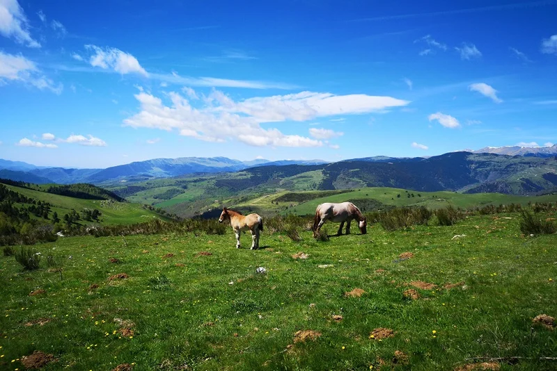 VTT Version free-ride du n°17 — Prats-de-Mollo-la-Preste