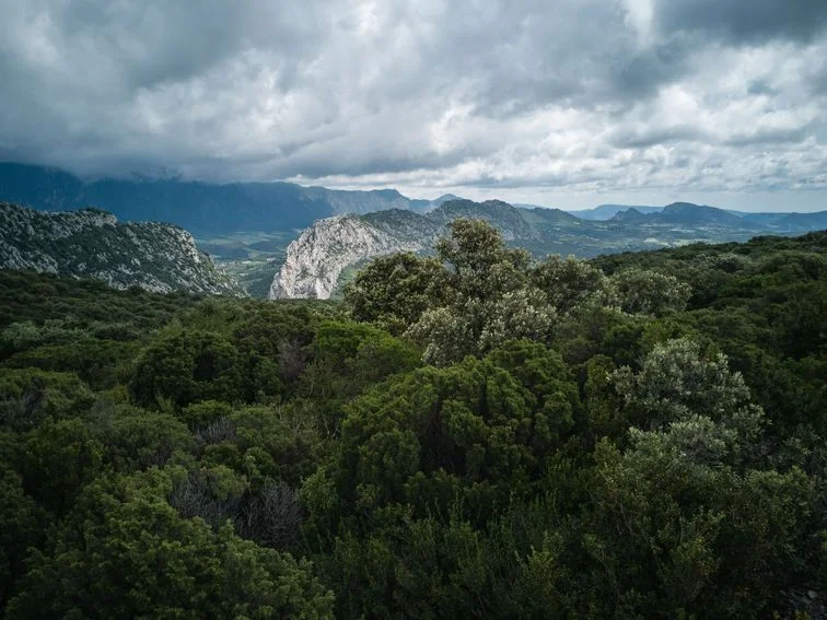 VTT Les abords de Saint-Martin — Saint-Martin-de-Fenouillet