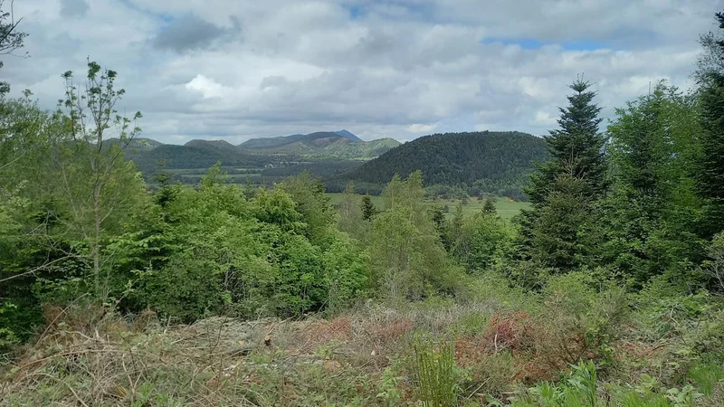 Randonnée Puy de la Rodde (Aydat) — Aydat