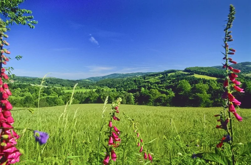 Randonnée Montmorillon - PR n°24 — Châtel-Montagne