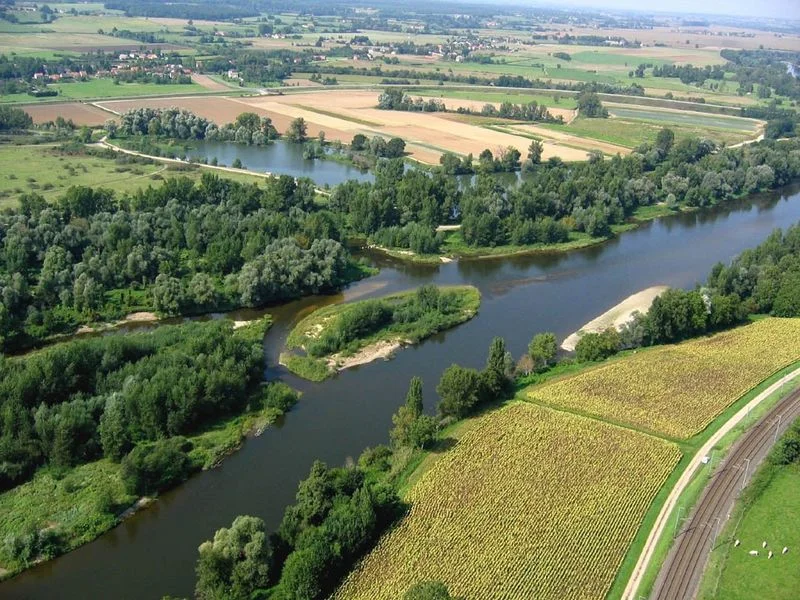 Randonnée Les bords de l'Allier - PR n°60 — Charmeil