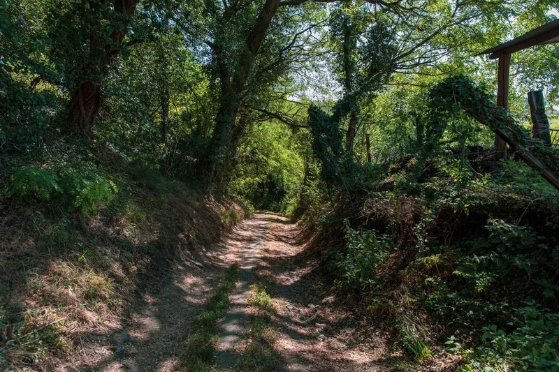 Randonnée Les coteaux des Creuzier - PR n°56 — Creuzier-le-Neuf