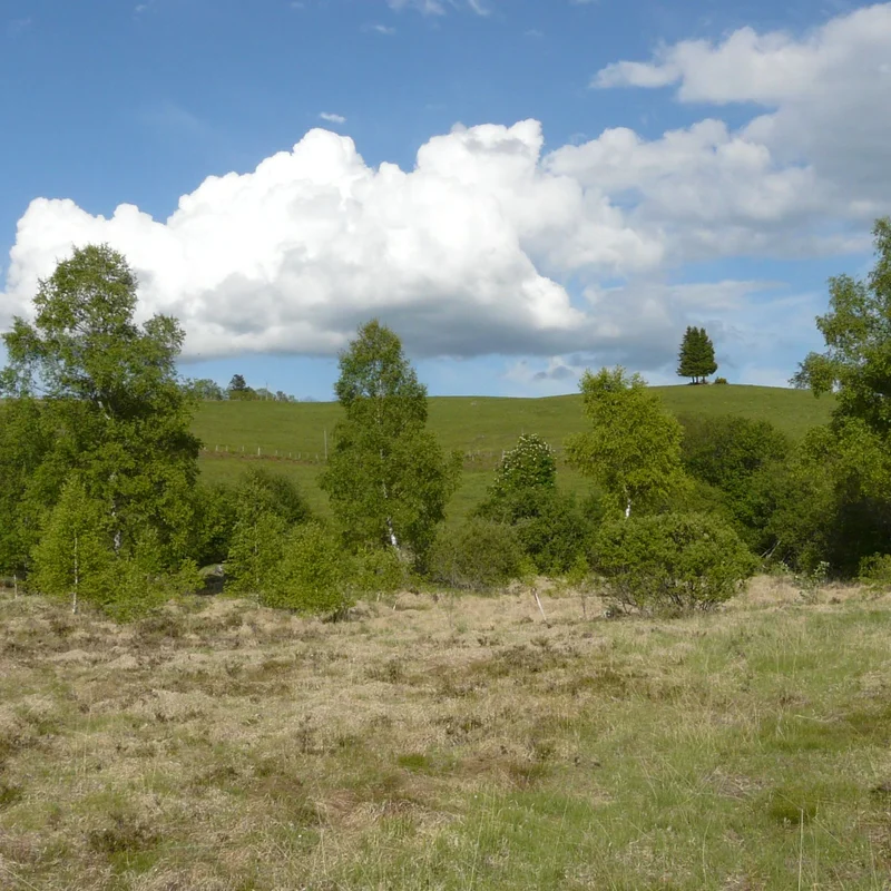 Randonnée Bertinet — Saint-Donat