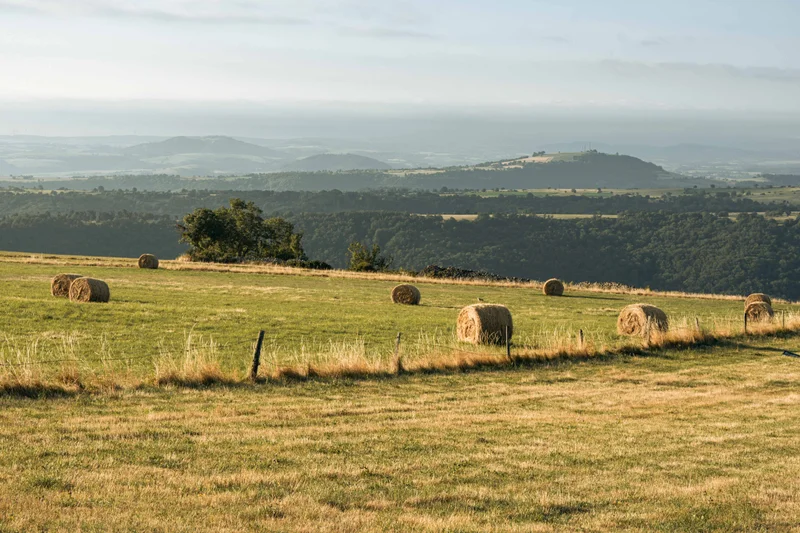 Randonnée De Laurie à Peyrusse (étape 4 du Tour des Vaches Rouges) — Laurie