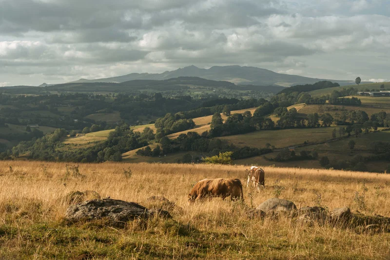 Randonnée De Montgreleix à Egliseneuve (étape 8 du Tour des Vaches Rouges) — Montgreleix