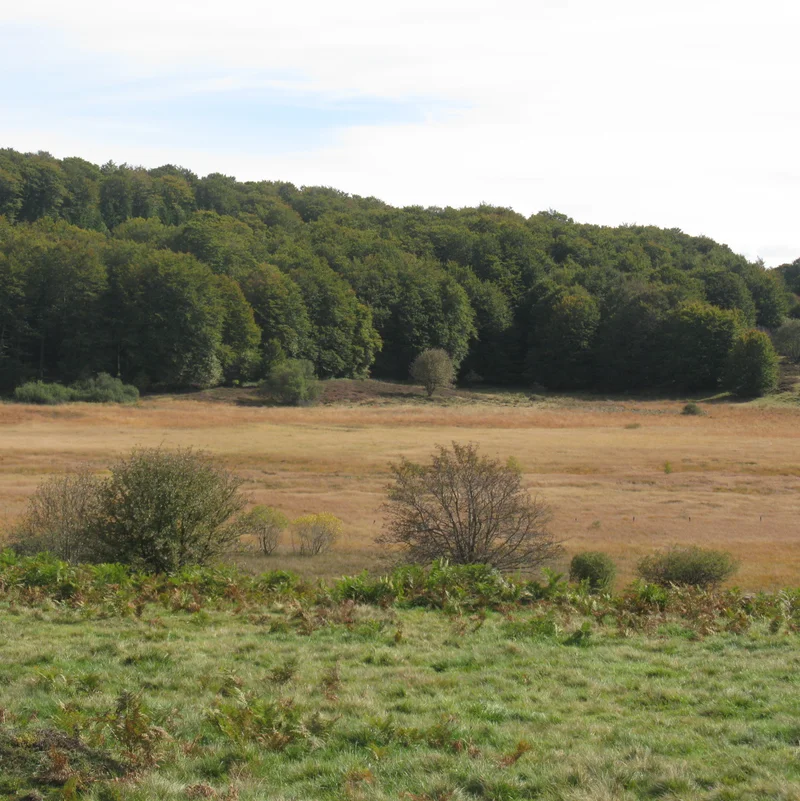 Randonnée Plateau de la Masse · Chastreix