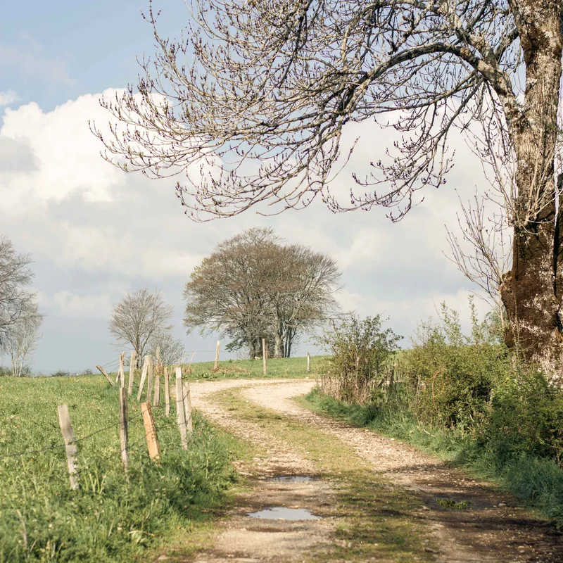 Randonnée Panorama de Haute-Serre · Bagnols