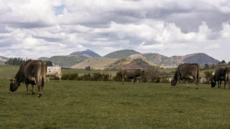 Randonnée Puy de Combegrasse et narse d'Espinasse — Aydat