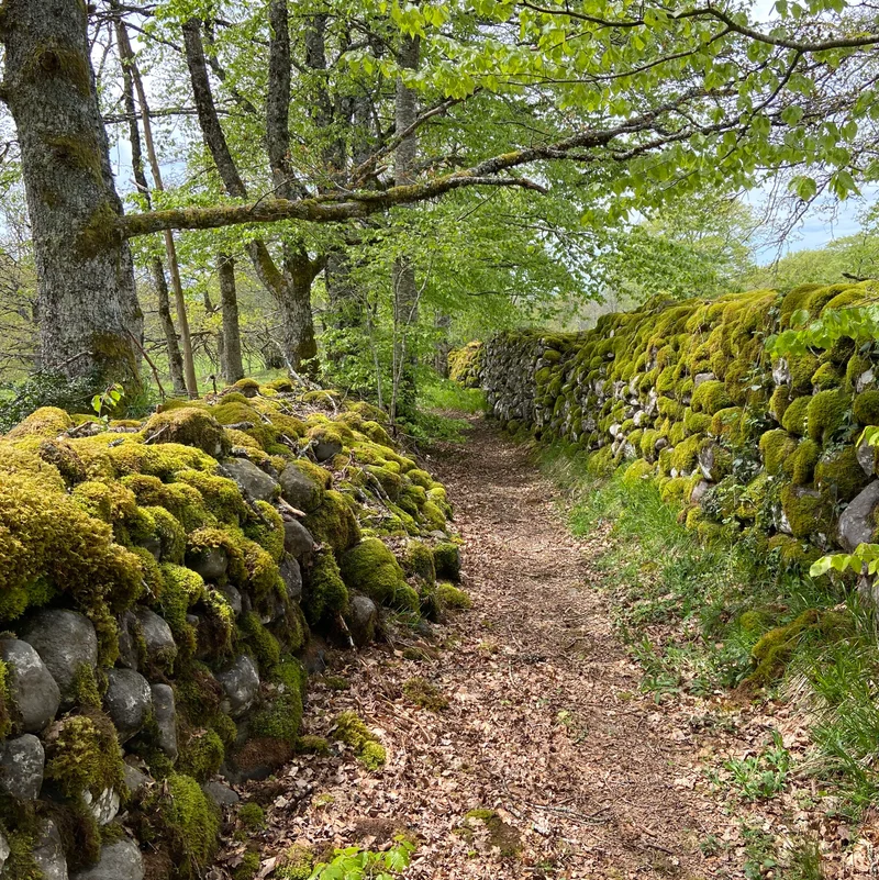 Randonnée Sentier de la Reine Margot · Bagnols