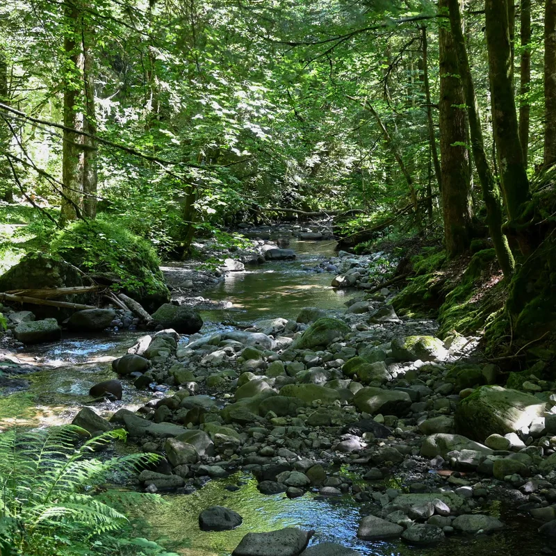 Randonnée Sentier des gorges de l'Alagnon — Laveissière