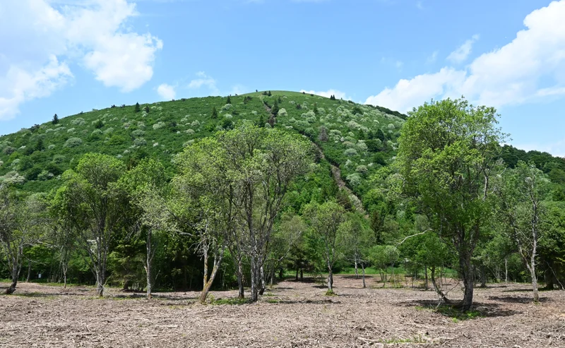 Randonnée Tour de Côme — Les Roches