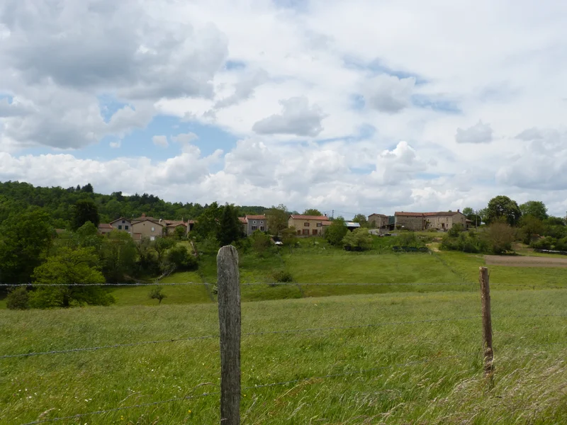 Randonnée Des Ribes au Miodet — Saint-Dier-d'Auvergne